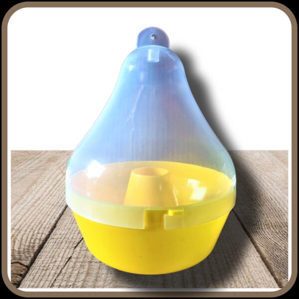 Mac phill pheromone fruit fly trap