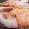 pink bollworm pheromone trap & lure