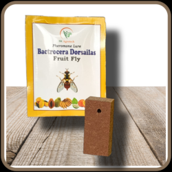 Bactrocer Dorsailas – Fruit fly pheromone lure