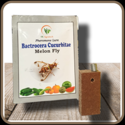 Bactrocera Cucurbitae Melon fly Pheromone lure