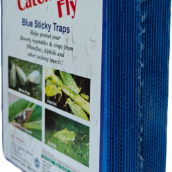 Blue Sticky insect Pheromone Trap (Sun pack Sheet)