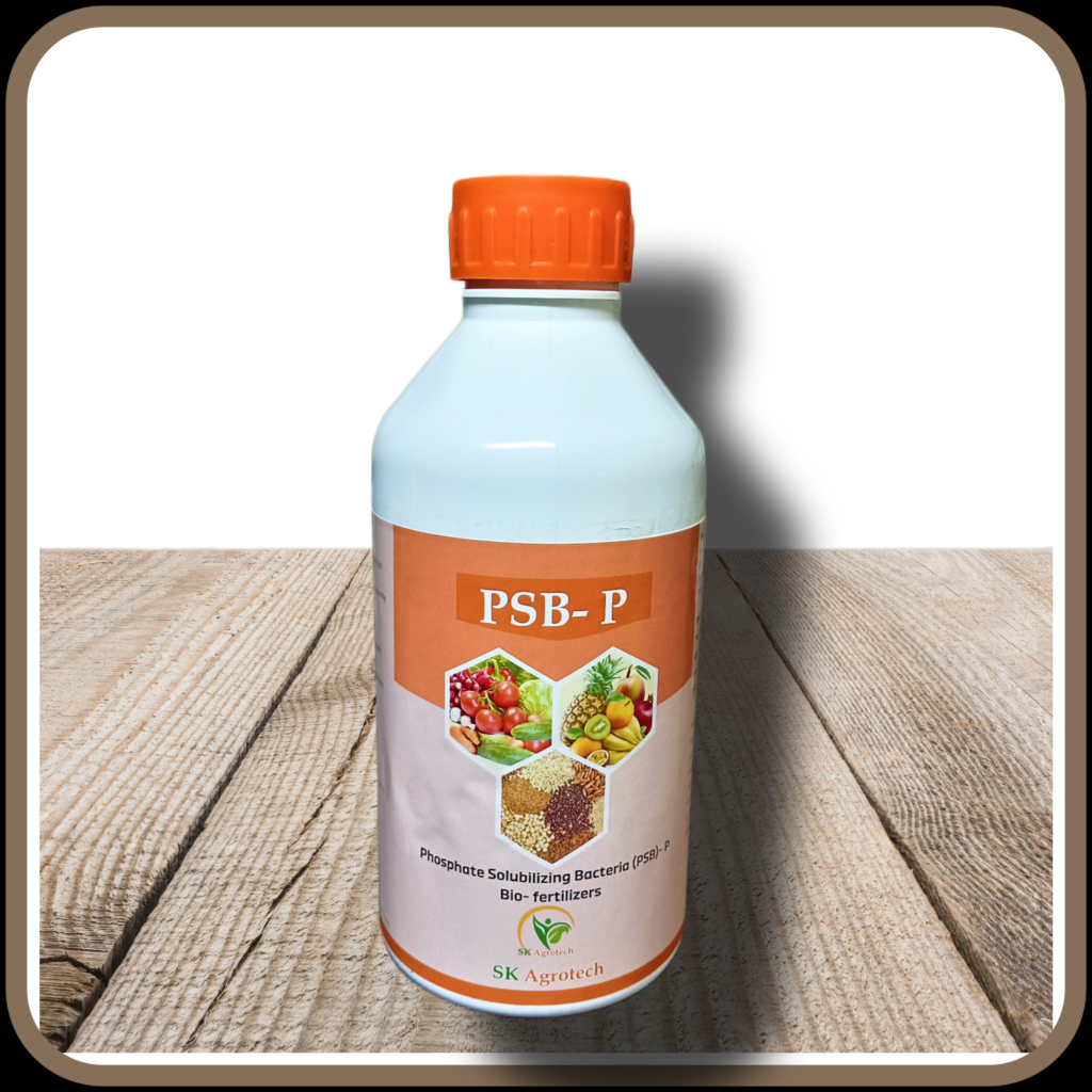 psb-bacillus-spp-biofertilizer-sk-agrotech