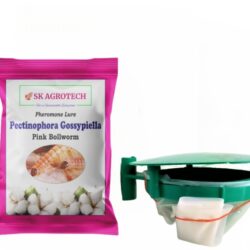 Pectinophora Gossypiell – Pink Bollworm Pheromone Lure & Funnel Trap