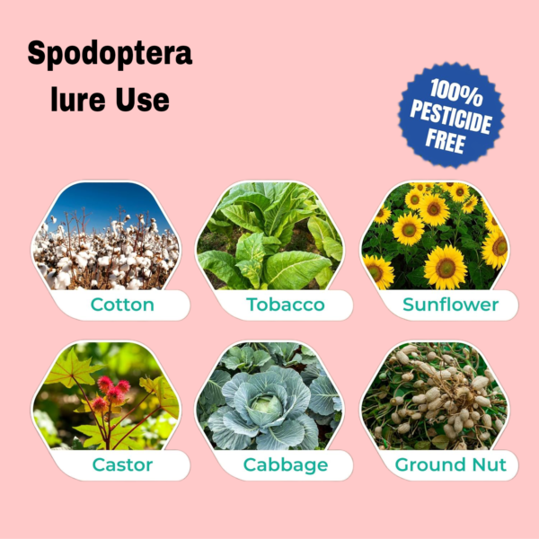 Spodoptera Litura Pheromone Lure