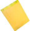 yellow sticky insect trap