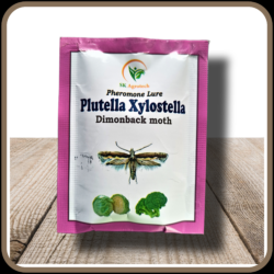 Plutella xylostella – Dimond backmoth Pheromone Lure