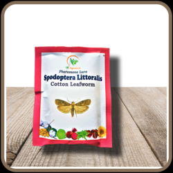 Spodoptera Litura- Cotton leaf worm pheromone lure