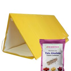 Tuta Absoluta – Tomato Leaf Miner pheromone lure & Delta Trap