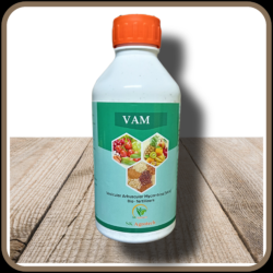 Vesicular Arbuscular Mycorrhizal (VAM Bio Fertilizer)