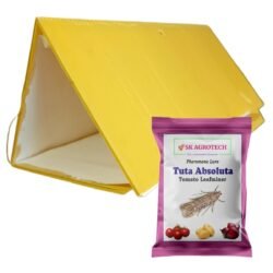 Tuta Absoluta – Tomato Leaf Miner pheromone lure & Delta Trap