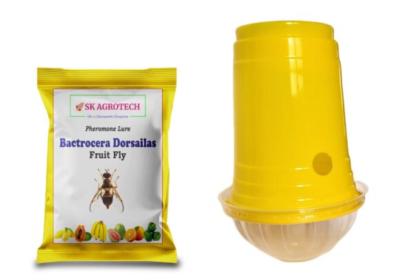 dactrocera dorsailas fruit fly pheromone trap