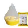 fruit fly trap