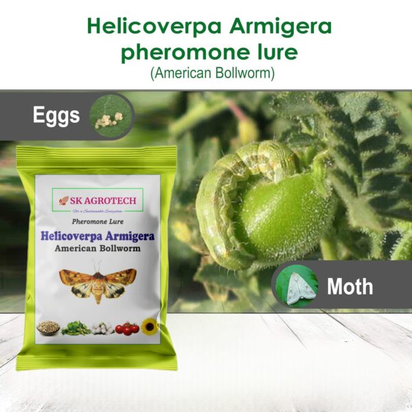 Helicoverpa armigera Pheromone Lure American Bollworm g