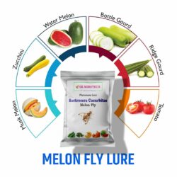 Bactrocera Cucurbitae Melon fly Pheromone lure