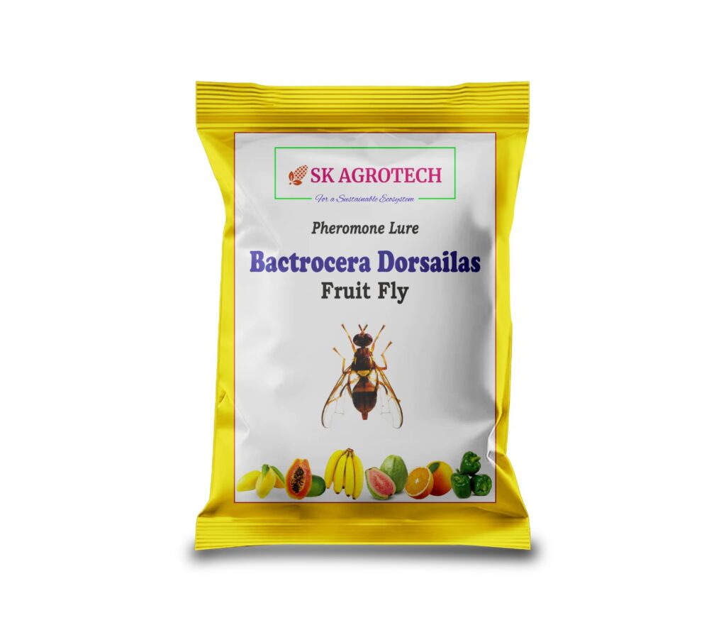 Bactrocera Dorsalis Fruit Fly Pheromone Trap with Lure