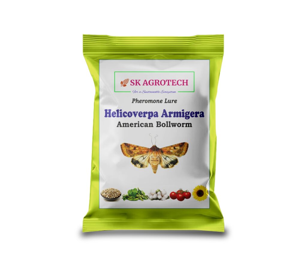 Helicoverpa armigera (Gram Pod Borer / Cotton Bollworm)