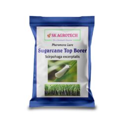 Sugarcane Top Borer (Scirpophaga excerptalis) Pheromone Lure