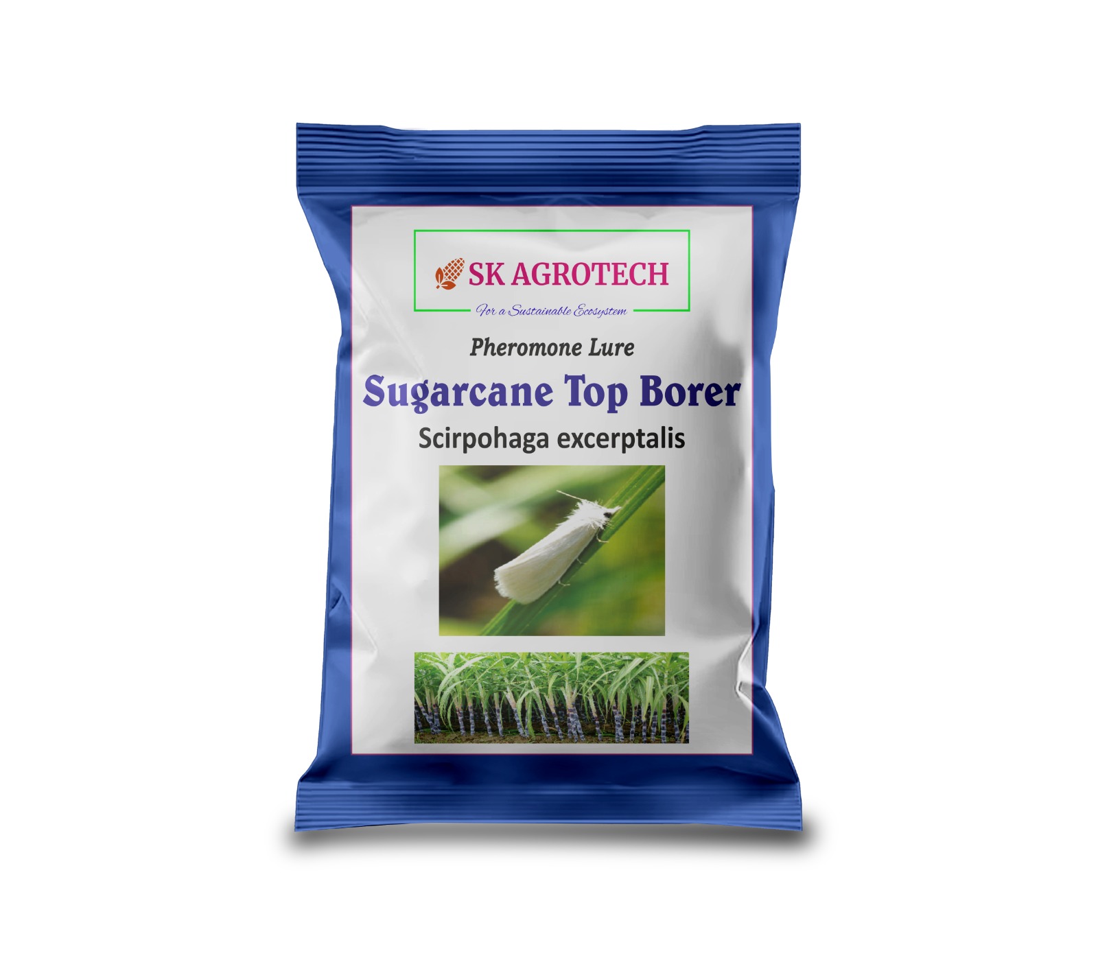 sugercane top borer