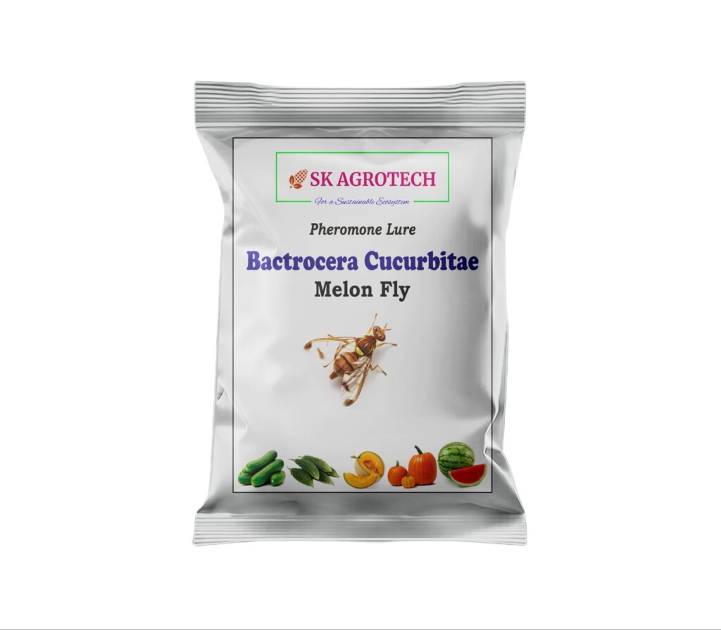 Bactrocera cucurbitae - Melon Fruit Fly lure