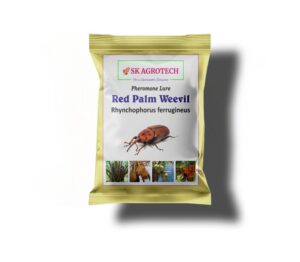 Red Palm Weevil (Rhynchophorus ferrugineus) Pheromone Lure