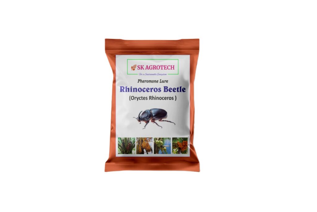 Pheromone Lure for Rhinoceros Beetle (oryctes Rhinoceros)