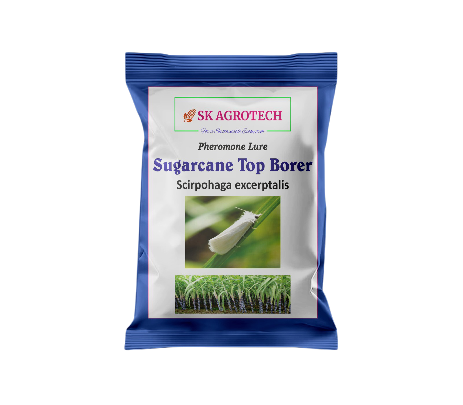 Pheromone Lure for Sugarcane Top Borer (Scirpophaga excerptalis)
