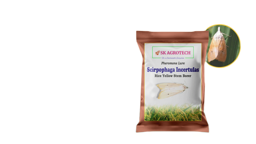 Rice Yellow Stem Borer (Scirpophaga incertulas) pheromone lure