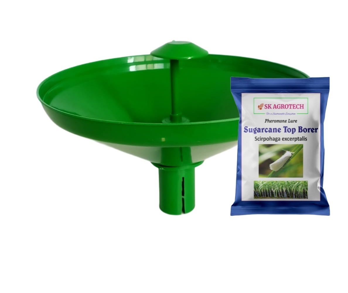 Pheromone Lure for Sugarcane Top Borer (Scirpophaga excerptalis)