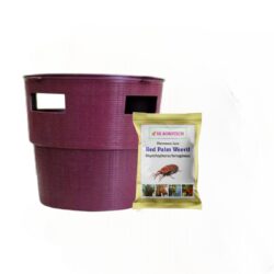 Red Palm Weevil (Rhynchophorus ferrugineus) Pheromone lure & Bucket Trap