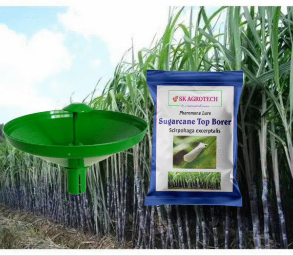 Sugarcane Top Borer (Scirpophaga excerptalis) Pheromone Lure & Water Trap - Image 3