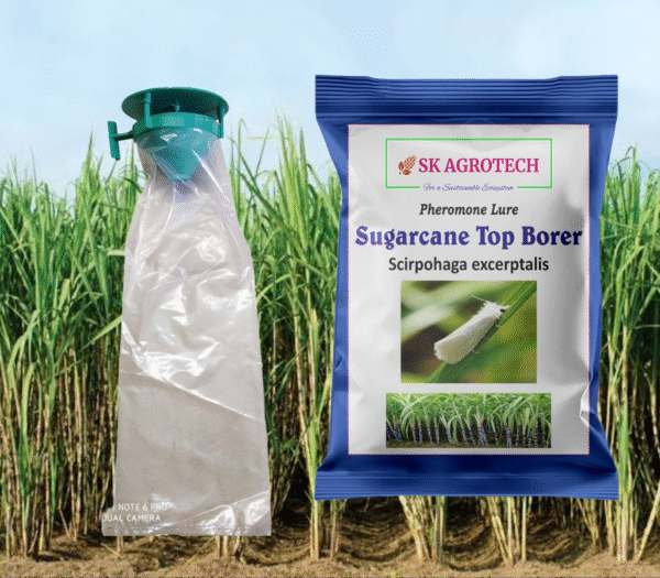 Sugarcane Top Borer (Scirpophaga excerptalis) Pheromone Lure & Trap