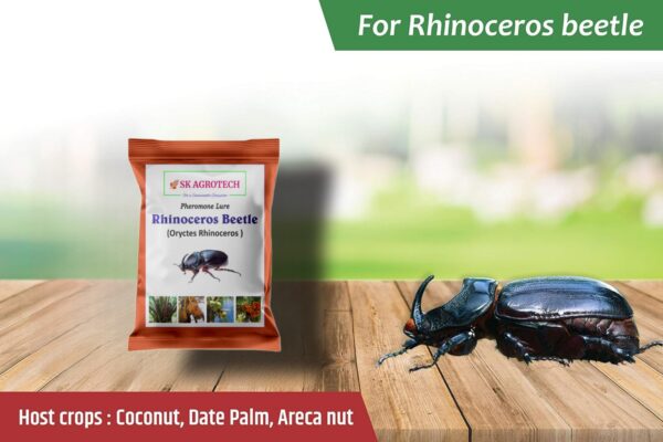Rhinoceros Beetle (oryctes Rhinoceros) Pheromone Lure & Bucket Trap - Image 4