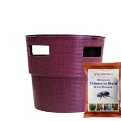 Buket Trap with Rhinoceros Beetle (oryctes Rhinoceros) Pheromone Lure
