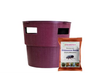 Rhinoceros Beetle (oryctes Rhinoceros) Pheromone Lure & Bucket Trap