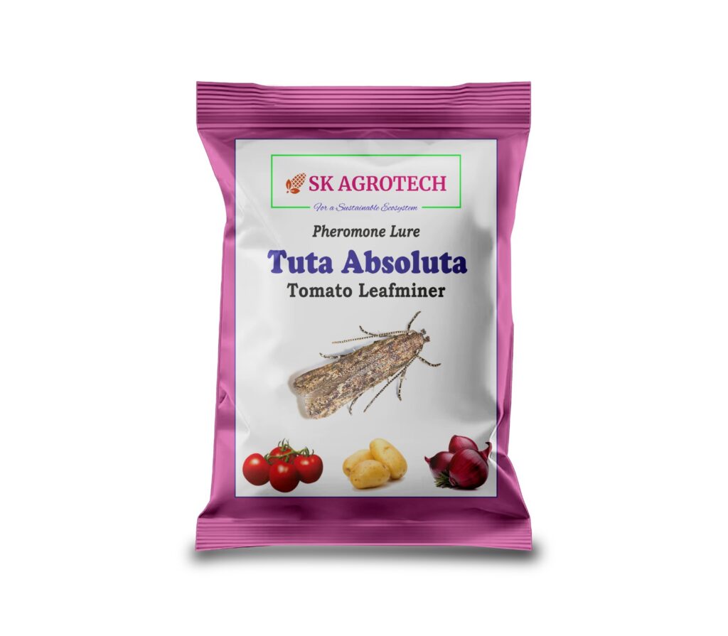 Tomato Leaf Miner (Tuta absoluta) Pheromone Lure & Trap