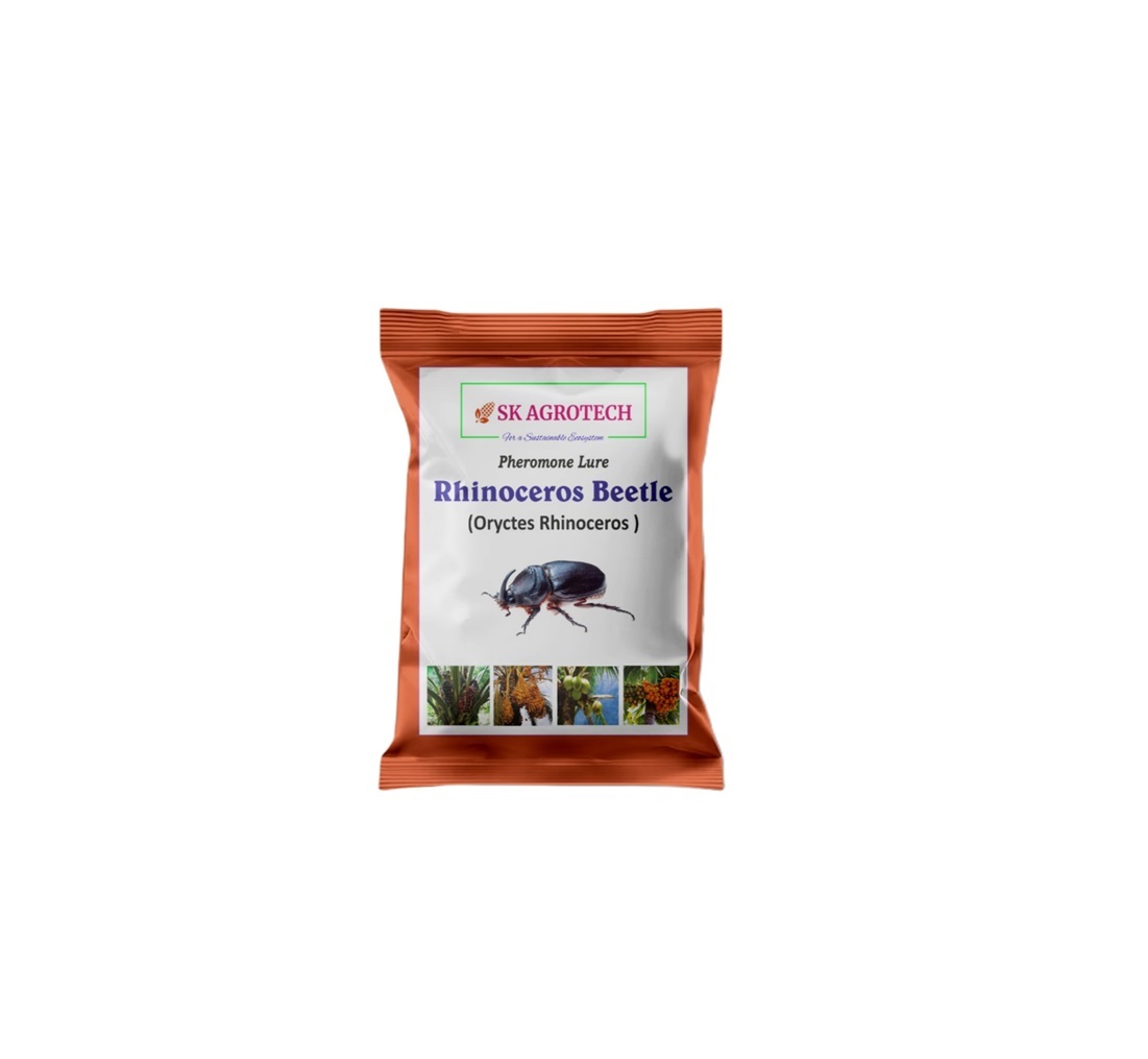 Rhinoceros Beetle (oryctes Rhinoceros) Pheromone Lure