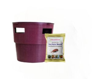 Red Palm Weevil (Rhynchophorus ferrugineus) Pheromone lure & Bucket Trap