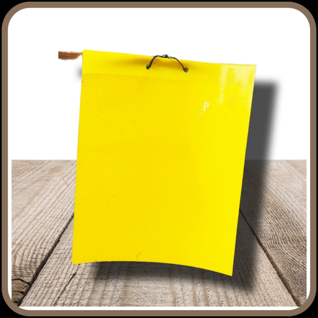yellow sticky insect trap