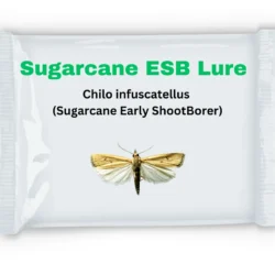 Sugarcane Early Shoot Borer (Chilo infuscatellus) Pheromone Lure & Funnel Trap